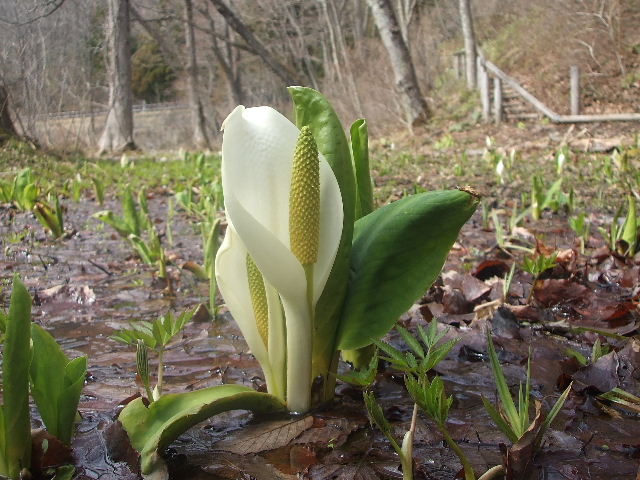 b0067569_1428179.jpg
