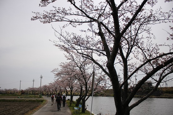 歴史と桜満喫の蟹江町めぐり　4/5_f0014971_23102872.jpg