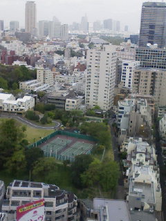 溜池山王 Cafe&Dining SCENEのお魚ランチ_f0112873_1411358.jpg