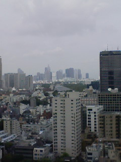 溜池山王 Cafe&Dining SCENEのお魚ランチ_f0112873_1413486.jpg