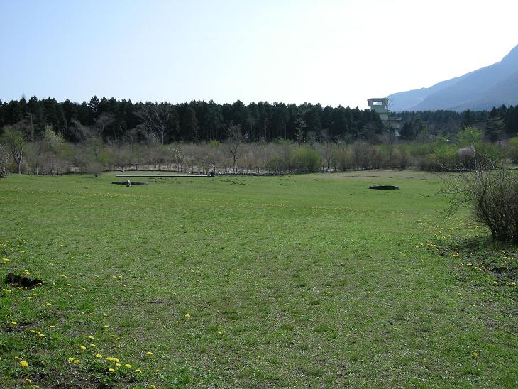 d0111174_226717.jpg