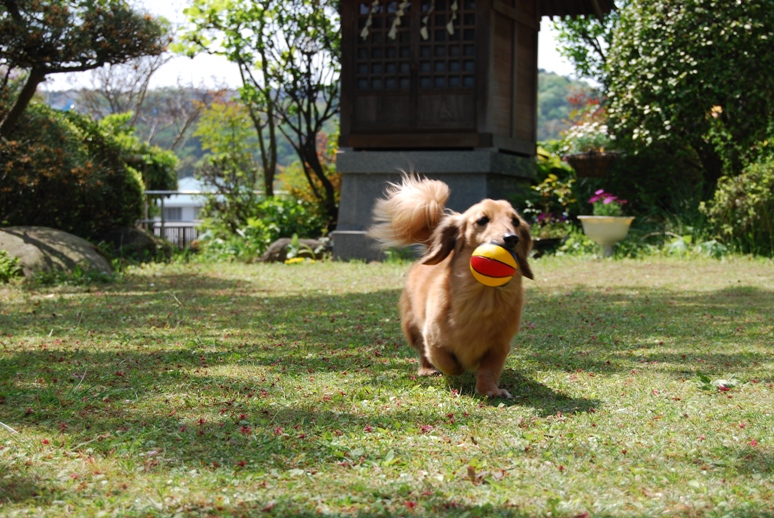 今日も頑張った♪_f0164374_21531361.jpg