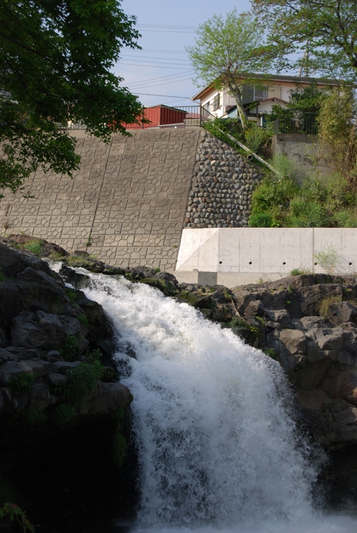 f0164374_21565513.jpg