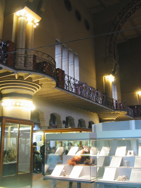 c0175975_529136.jpg