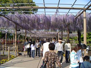 f0149083_21474927.jpg