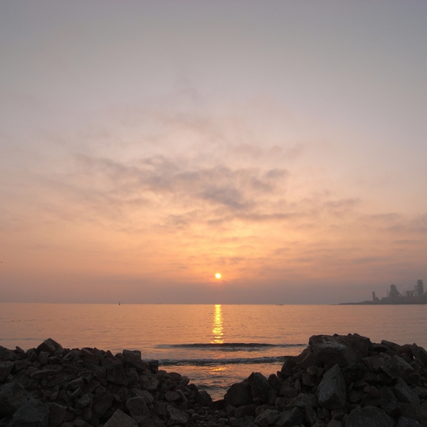 f0145484_88828.jpg