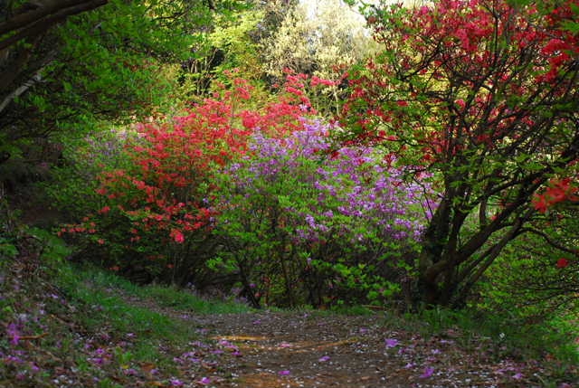 f0202686_19382620.jpg