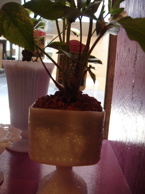 f0138588_16581490.jpg