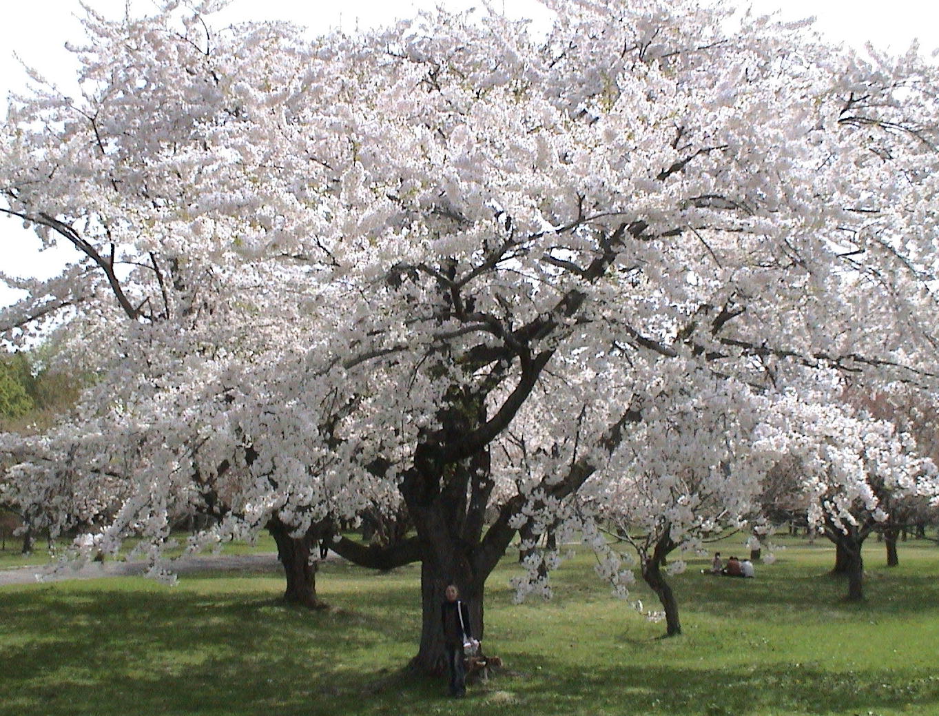 c0171889_1454593.jpg