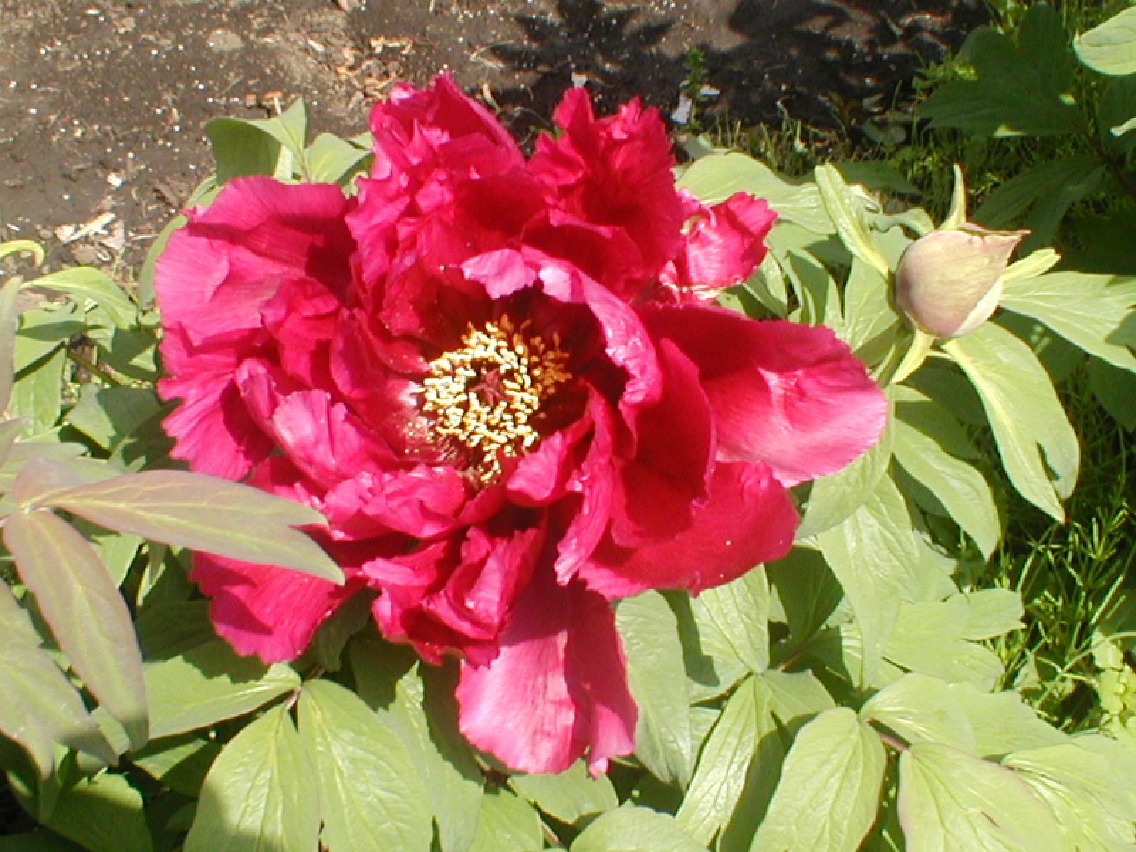 e0116694_2253441.jpg