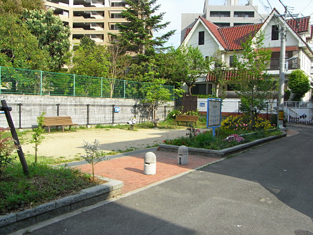 ヤマトシジミ（赤坂一号公園・赤坂西緑地）_f0204094_1514651.jpg