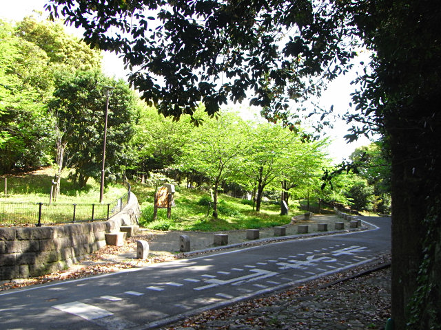 ヤマトシジミ（赤坂一号公園・赤坂西緑地）_f0204094_154488.jpg