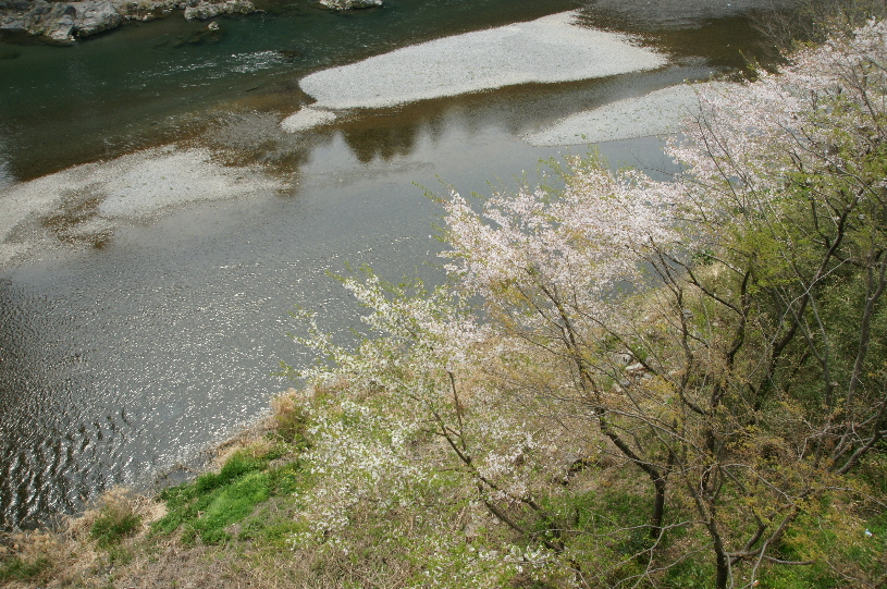 おくたま　風景_b0155395_0371977.jpg