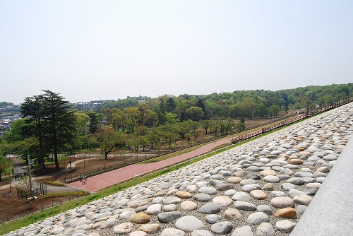 c0124100_1011162.jpg