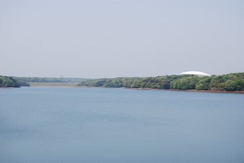 c0124100_10114018.jpg