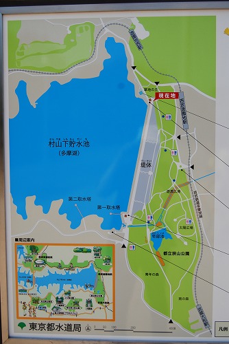 c0124100_109286.jpg