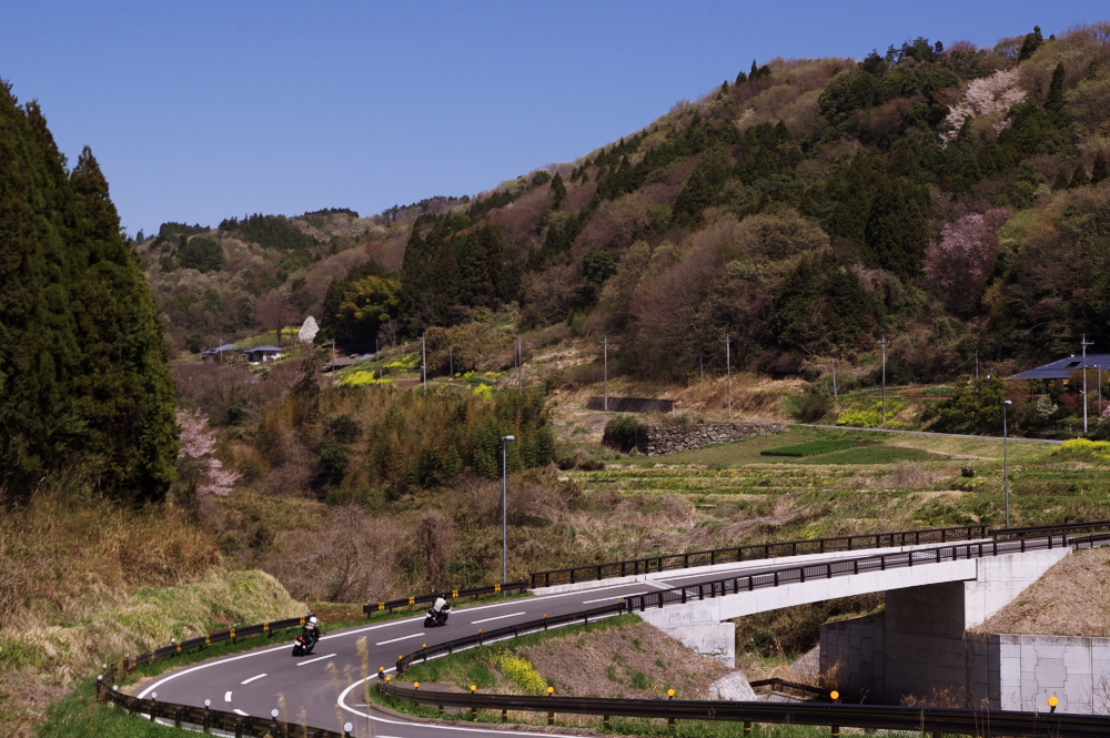 d0100100_21512.jpg