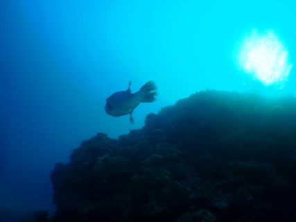 e0023100_23141319.jpg