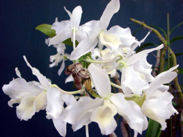 d0007501_2037760.jpg
