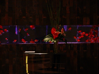 c0153302_238437.jpg