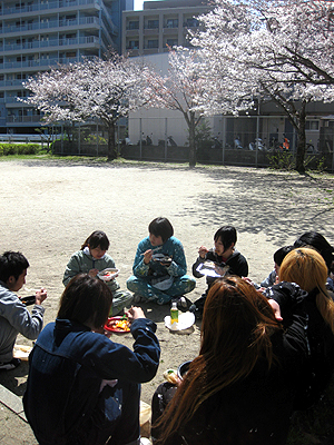 ３月２４日 桜満開!!!_e0162202_2004143.jpg