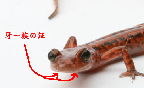 c0165803_18214919.jpg