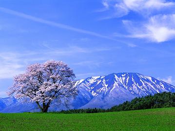 2010年の予定(当初)_c0125004_601522.jpg