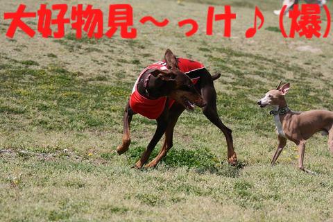 e0100007_2204942.jpg