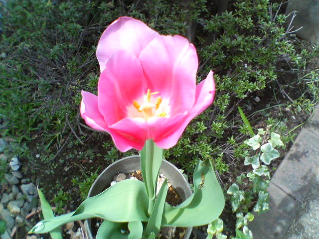 b0027009_17441260.jpg
