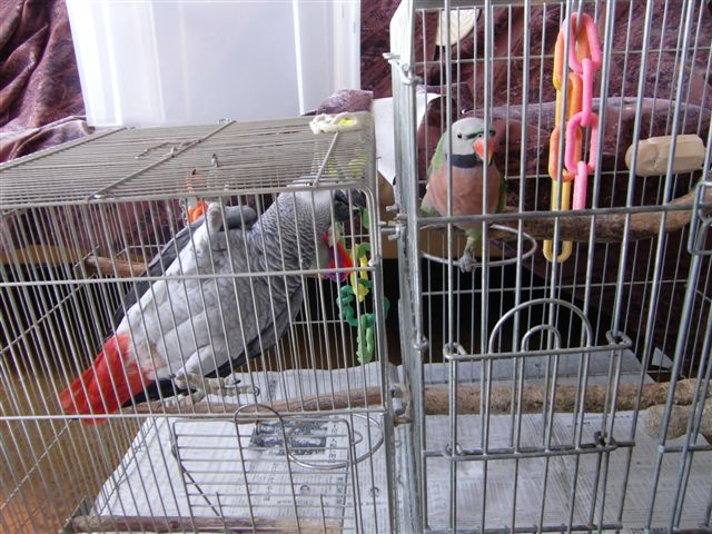 c0133013_13463713.jpg