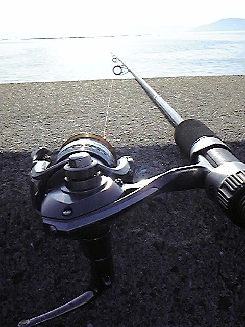e0114015_1541943.jpg