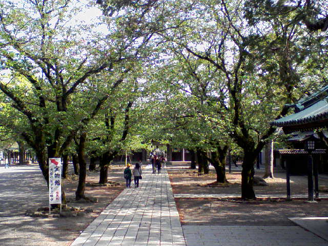 f0000616_5455355.jpg