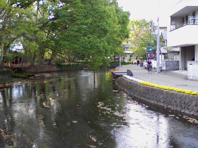 f0000616_5455374.jpg