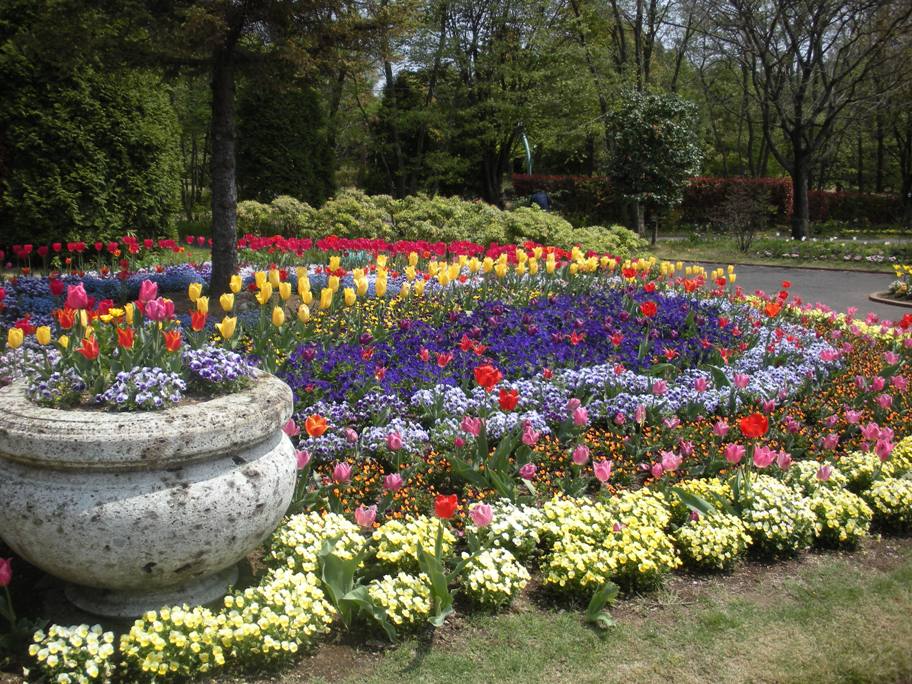 c0003217_1125843.jpg