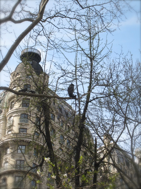 c0120817_65071.jpg