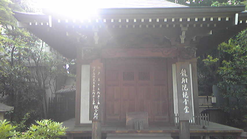 d0004717_633848.jpg