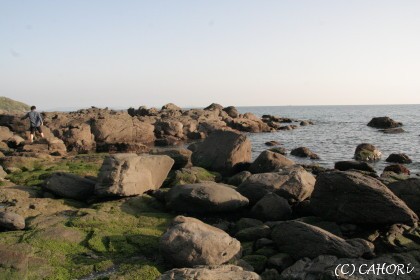 c0071221_1904636.jpg