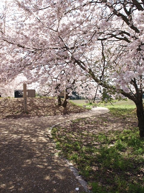 c0157624_21234487.jpg
