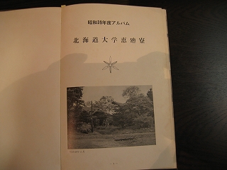 f0203324_15282456.jpg