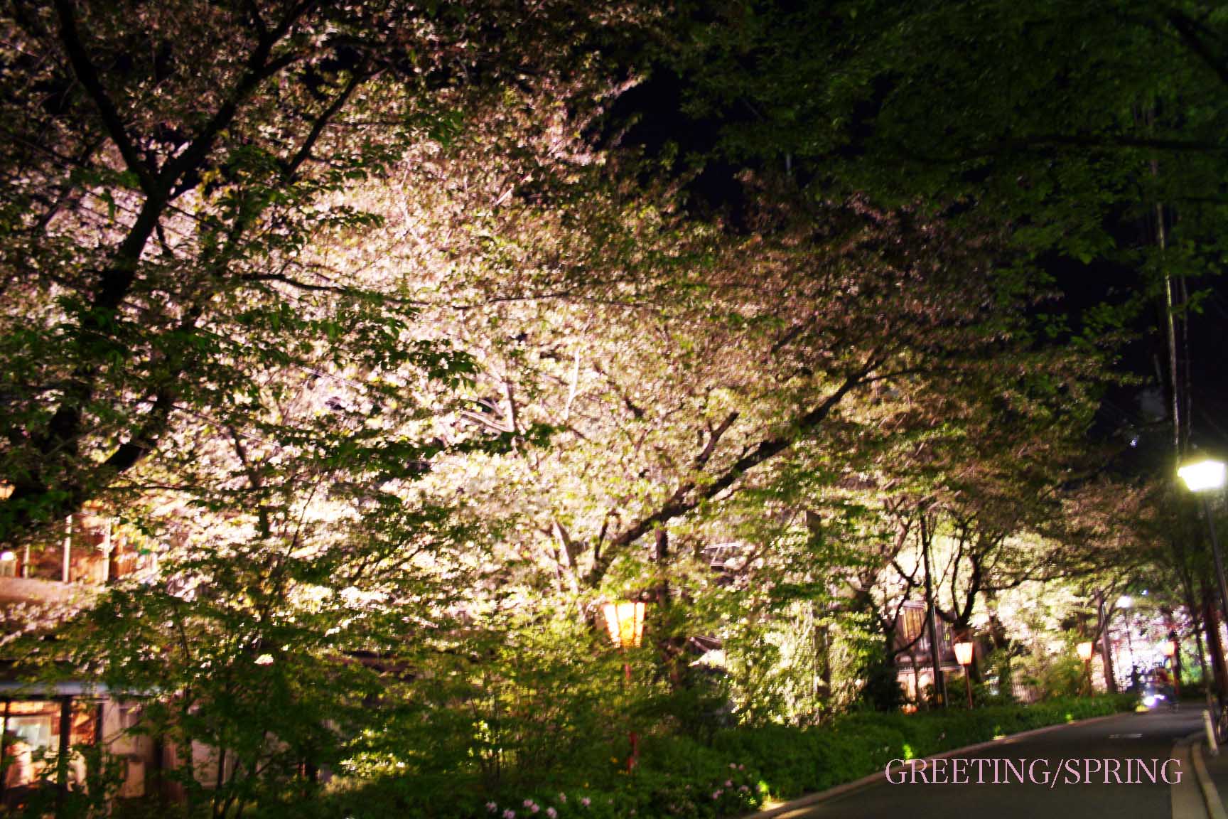 京都の夜_a0078126_14523097.jpg