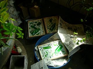 先週のレッスン_c0102228_813843.jpg