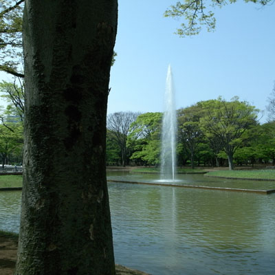 c0182231_19135862.jpg