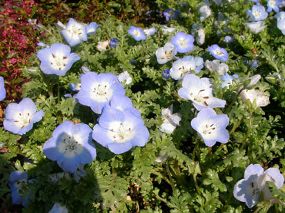f0045132_922463.jpg