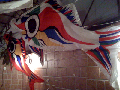 ●TARO KOINOBORI_a0033733_10191839.jpg