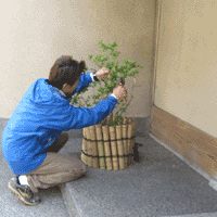 d0033734_14511243.gif