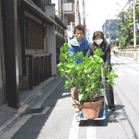 d0033734_1452062.gif