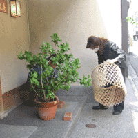 d0033734_14522364.gif