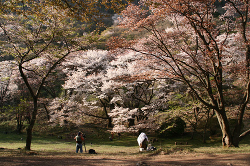 d0055236_10285296.jpg