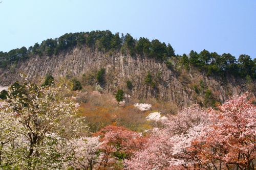 d0055236_1073643.jpg