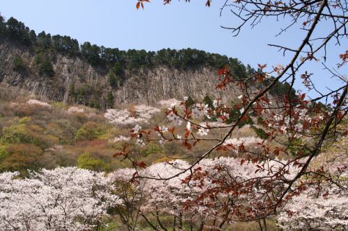 d0055236_1091515.jpg